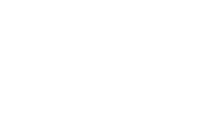 ASOZI